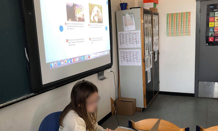Supporting Productive EFL Learning